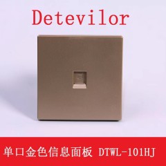 DTWL网络面板金色（单口）