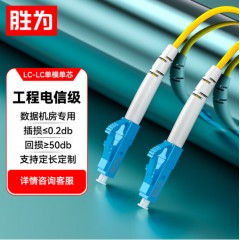 胜为电信级光纤跳线 LC-LC（UPC）单模单芯入户光纤线